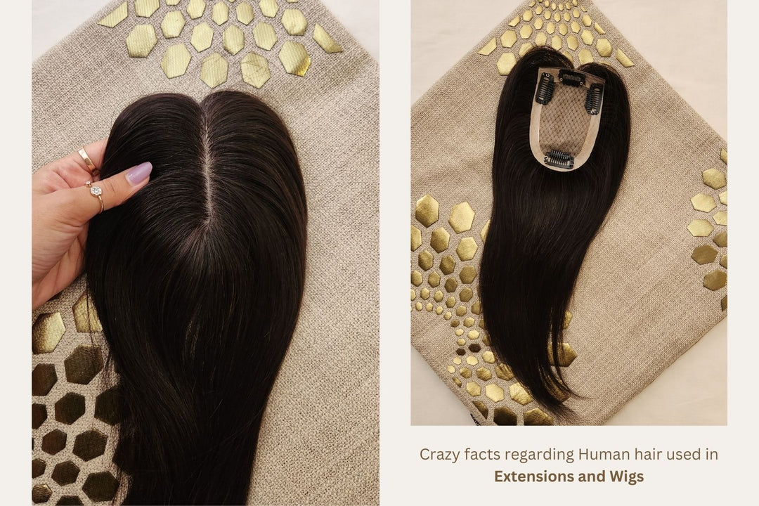 Crazy Facts Regarding Human Hair Used in Extensions And Wigs