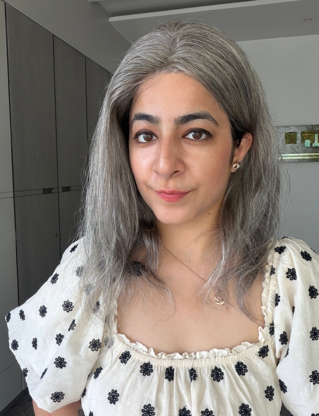 Salt and Pepper Hair Wig - Black and White Hair